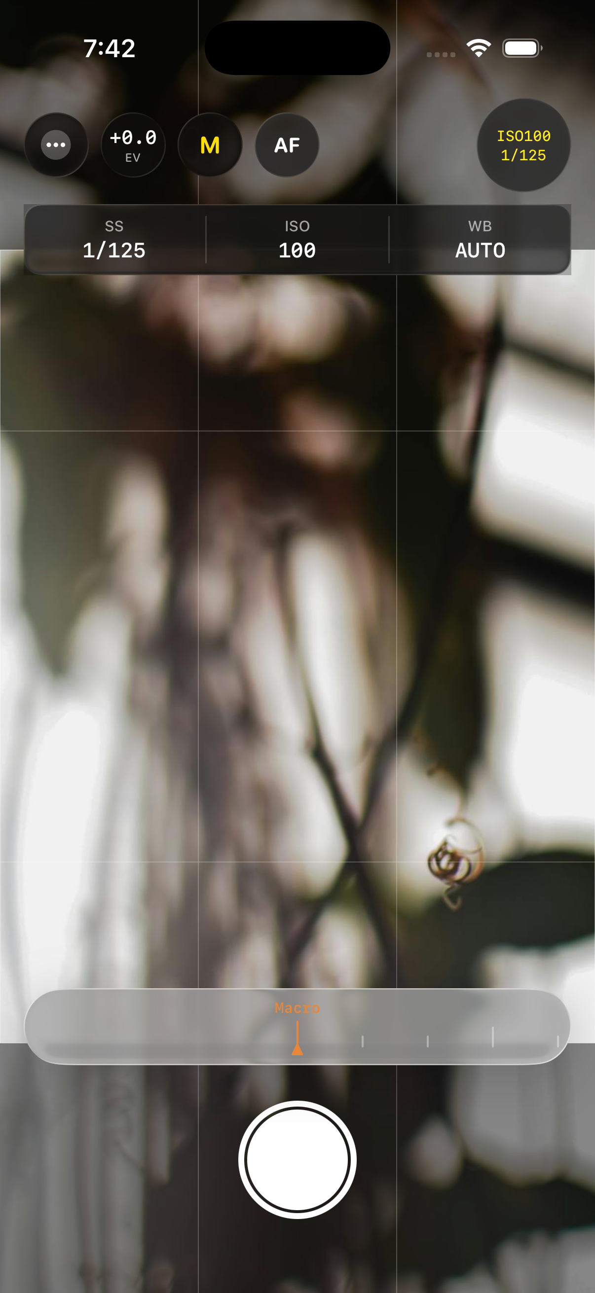 Manual focus with scrub strip